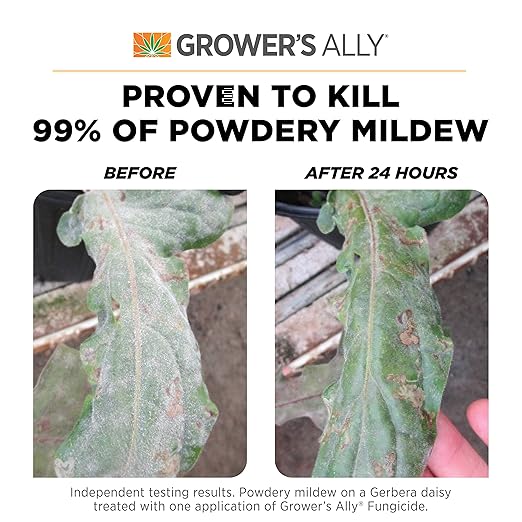 Grower's Ally Fungicide for Plants Concentrate - Indoor Outdoor Plant Fungicide Treatment Control for Powdery Mildew, Alternaria Blight, Rot, Fungus - Trusted by Cultivators - 8 Oz, Makes 5 Gallons