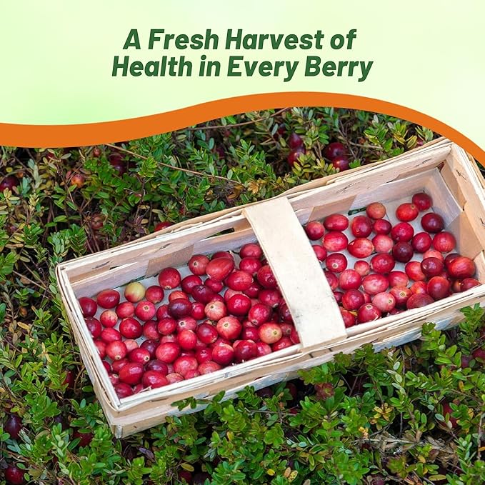 Outsidepride Cranberry Seeds - 250 Pcs. Perennial, Easy to Grow & Low Maintenance, Fruit Seeds for Planting Nutrient-Rich Berries with Purple Blooms for Pollinator Gardens & Container Displays