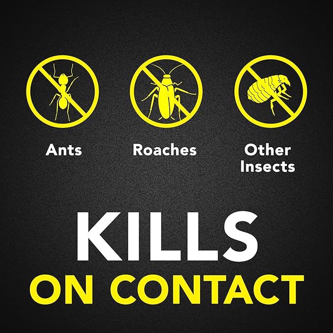 Raid Ant and Roach Killer, Fragrance Free, 17.5 OZ
