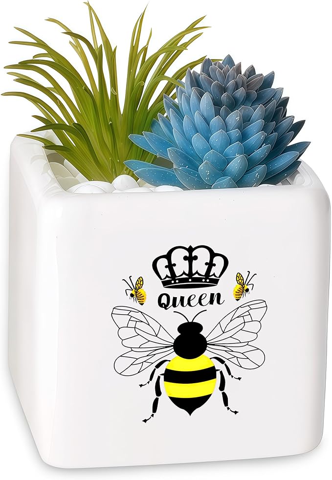 BJDAMAI Bee Succulent Planter Flower Plant Pot Small, Gifts for Women Teens Girls Kids, Bee Lovers Themed Stuff Accessories Things Decor Merch, Home Office Table Desk Decoration!