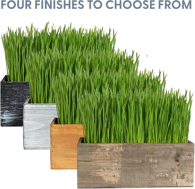 The Cat Ladies Cat Grass Kit with Rustic Wood Planter, Seed and Soil. Easy to Grow for Indoor or Outdoor Cats, Dogs and Other Pets. Prevent Hairballs and Aid Digestion