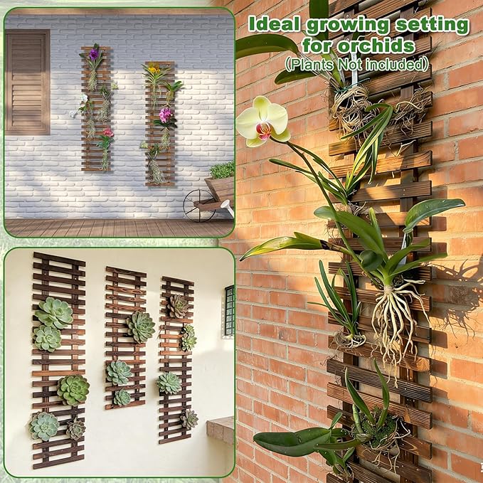 Wall Planters - 11.4" W x 47.24" H Wooden Wall Planters for Indoor Outdoor Plants,Hanging Wood Wall Trellis,Wall Mounted Plant Holder for Orchids,Succulent,Air Plants,Hanging Pots Display