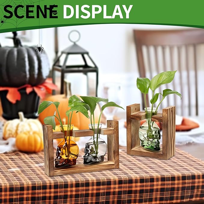 2+1 Plant Terrarium Plant Propagation Station Gifts for Father Halloween Skull Home Office Decor with Wooden Stand