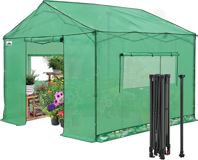 EAGLE PEAK 10x10 Portable Pop Up Greenhouse, Patented Center Lock Easy One Person Setup, Walk-in Outdoor Greenhouse with Gable Roof, Weight Bags, Zippered Doors & Windows - Winter Support Pole, Green
