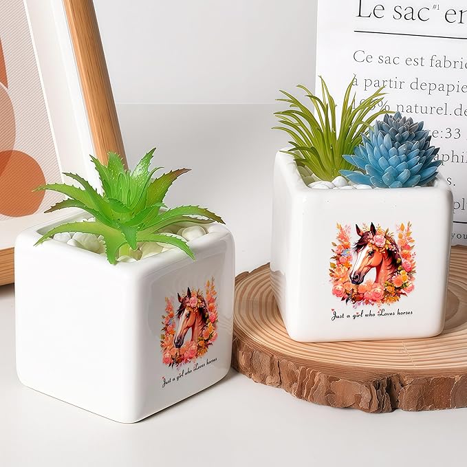 BJDAMAI Horse Succulent Planter Flower Plant Pot Small, Gifts for Women Teens Girls Kids, Horse Lovers Themed Stuff Accessories Things Decor Merch, Home Office Table Desk Decoration!