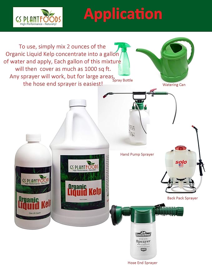Liquid Kelp Organic Seaweed Extract Fertilizer OMRI Listed 1 Gallon Concentrate
