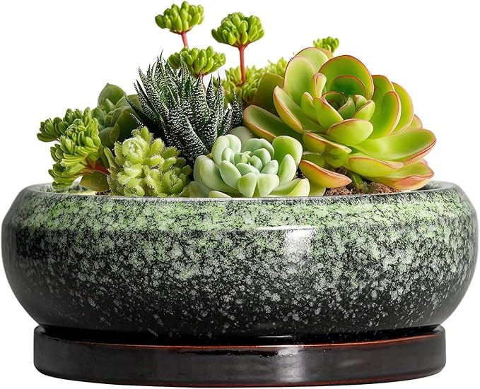 EPFamily Succulent Pots 6 Inch - Ceramic Bonsai Pots with Drainage Hole and Saucer, Succulent Planters for Indoor Outdoor, Small Shallow Planter, Round Cactus Pot, Room Decor, Plant Lover Gift, Green