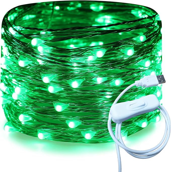 RUICHEN Silver Wire 33 Ft 100 LED USB Fairy String Lights with On/Off Switch (Green)