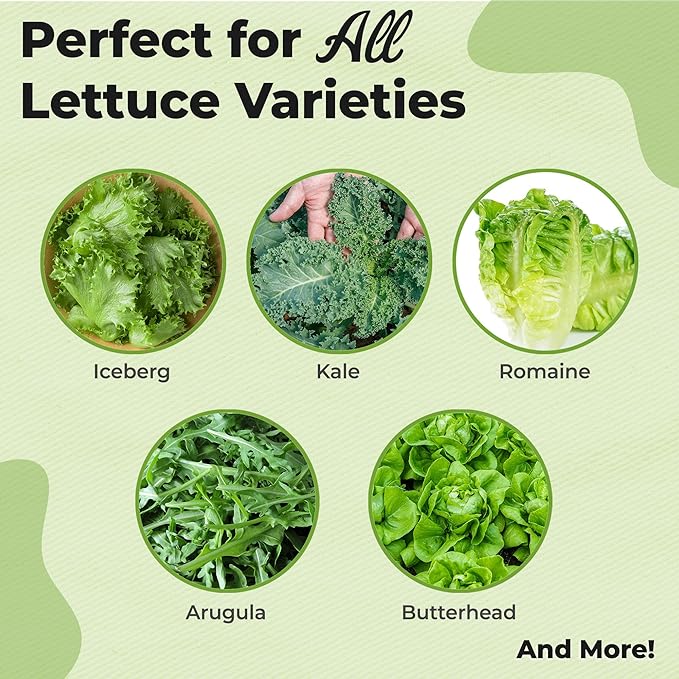 Premium Lettuce and Leafy Greens Fertilizer by Perfect Plants | Liquid Spray Plant Food for Outdoor and Indoor Gardens | Professional Spray Fertilizer 10-0-10 (8 fl oz)