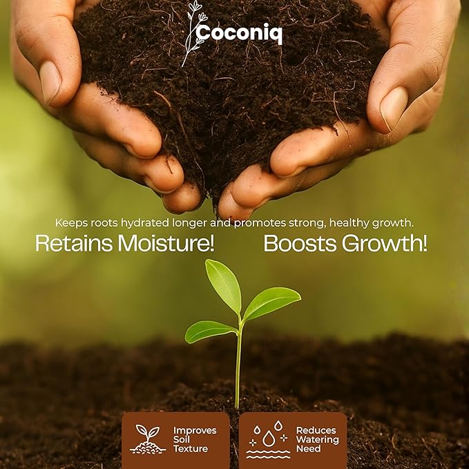 COCONIQ Premium Coco Coir Bricks 6 Pack - Lightweight Cocopeat for Garden Soil, Compressed Coconut Fiber Brick for Potting, Gardening, Planting, Seed Starting, Indoor & Outdoor Plants, Set of 6