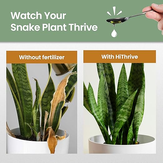 16oz Snake Plant Fertilizer for Snake Plant Live - Makes 96 Gallons of Fertilizer for Indoor Plants, Ideal for Healthy Growth, Strong Leaves, and Vibrant Color - Rich in Macro & Micronutrients