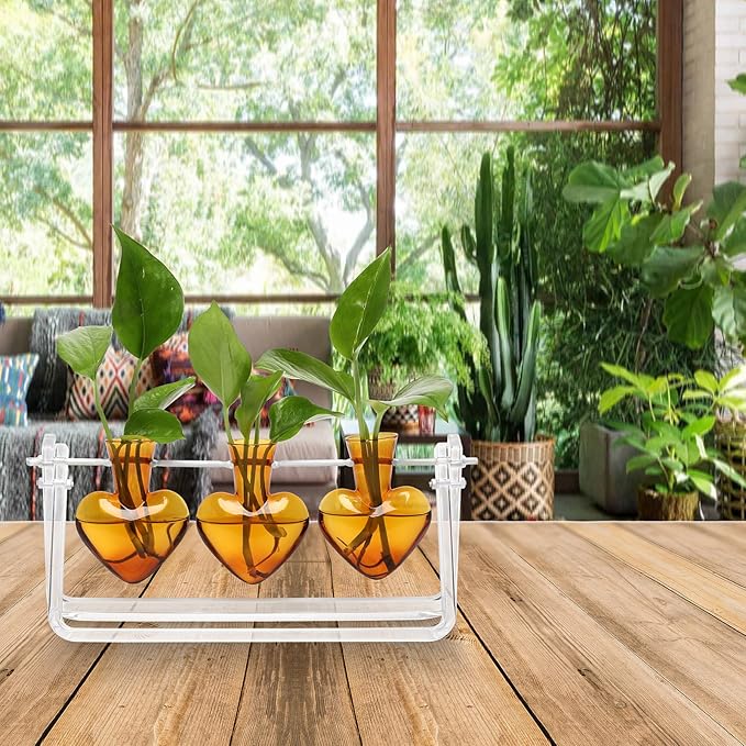 CYZglass Clear Plant Terrarium Propagation Stations with Acrylic Stand Birthday Gifts for Women Office Home Decor