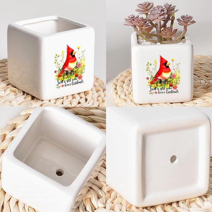 BJDAMAI Cardinal Succulent Planter Flower Plant Pot Small, Gifts for Women Teens Girls Kids, Cardinal Lovers Themed Stuff Accessories Things Decor Merch, Home Office Table Desk Decoration!