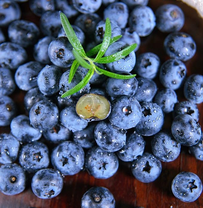 Blueberry Seeds for Planting 200 Pcs