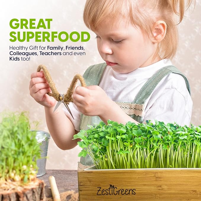 ZESTIGREENS Self Watering Microgreens Growing Kit. Hands Down The Easiest Way to Grow Microgreens. Includes Tray, Seeds, Mats, and Bamboo Surround. Great Gift for Gardeners