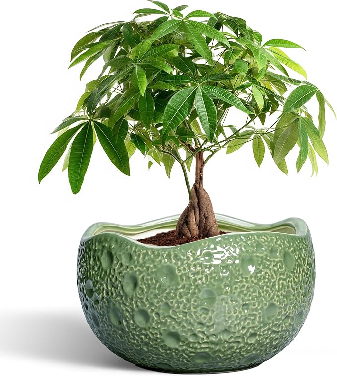 Thirtypot Ceramic Pots for Plants - 10 Inch Plant Pot for Indoor Outdoor, Round Bonsai Pots with Drainage Hole, Modern Planter, Decorative Flower Pot, Living Room Decor, Gifts for Plant Lovers, Green