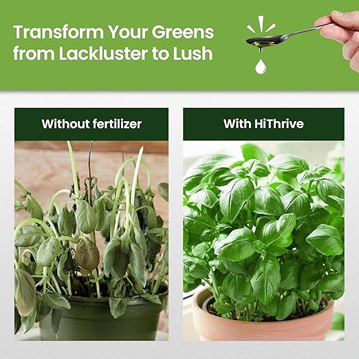 32oz Liquid Fertilizer for Vegetable Garden – Makes 48 Gallons of Garden Fertilizer for Outdoor Vegetables - Herbs & Leafy Greens Live Plants Indoor Plant Food, Liquid Plant Food for Growth & Flavor