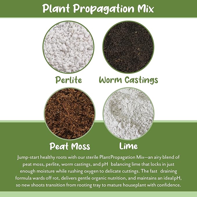 Soil Sunrise Plant Propagation Potting Mix (8 Quarts); Ideal Starter Mix for Rooting Plant Cuttings