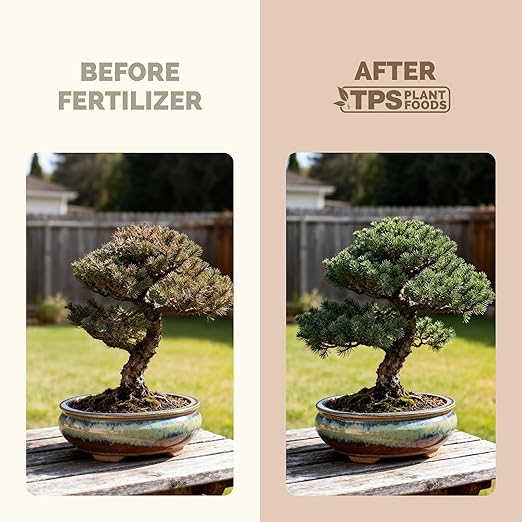 Bonsai Fertilizer, Liquid Plant Food for Healthy Growth & Strong Roots in All Bonsai Trees, by TPS Plant Foods, 8 oz (250 mL)