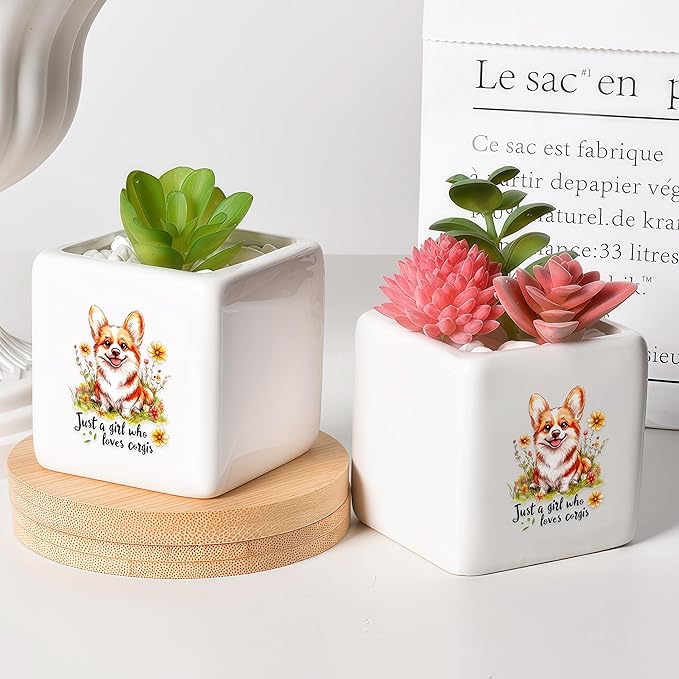 BJDAMAI Corgi Succulent Planter Flower Plant Pot Small, Gifts for Women Teens Girls Kids, Corgi Lovers Themed Stuff Accessories Things Decor Merch, Home Office Table Desk Decoration!