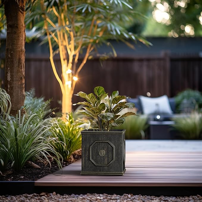 Kante Square Lion Head Concrete Planter, Classic English Style Plant Pot with Drainage Hole and Rubber Plug for Indoor Outdoor Garden Patio Home, 12.6"x12.6"x12.6" Oil Rubbed Bronze