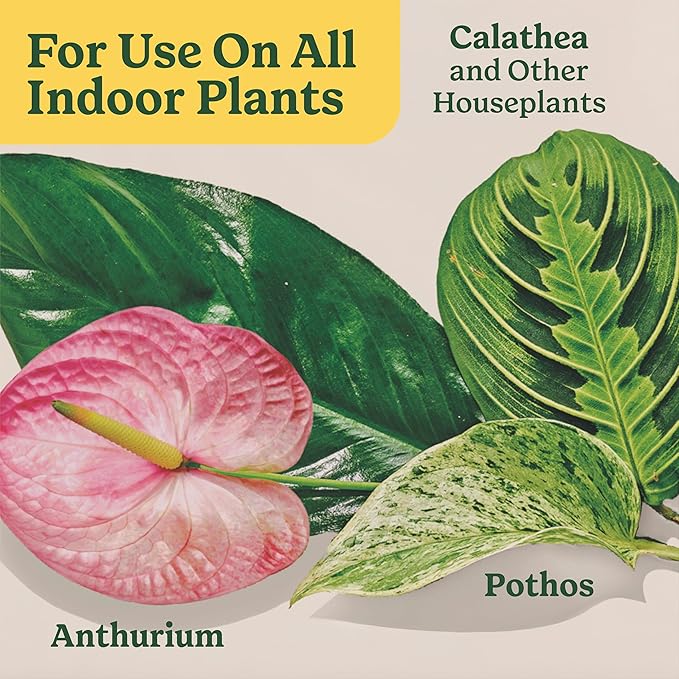 Miracle-Gro Indoor Plant Food Spikes for All Plants, Fertilizer Spikes for Houseplants, Flowers, Vegetables, and Herbs, 48 Spikes