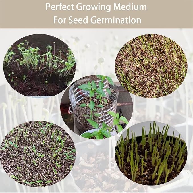 Natural Coarse Vermiculite 2QT for Plants Organic Occurring Mineral Potting Mix Medium for Potted Plants, Hydroponics, Terrariums, Orchids, Mushroom Or Reptile Habitats