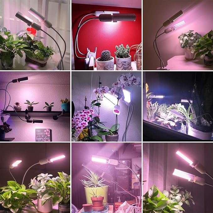 Necgemlex Smart LED Grow Lights for Indoor Plants - Real Time Sunlight Brightness Simulation, Full Spectrum Grow Light with 2-24 Hours Timer, Auto on/Off, Independent Control Dual Heads, Dimmable