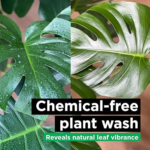 Plant Food + Neem Oil Spray for Plants : Seaweed-Rich Fertilizer for Leafy Houseplants and Organic Leaf Spray