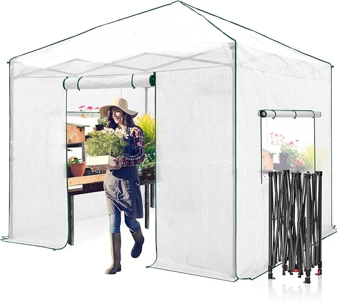 EAGLE PEAK Instant Pop-up Greenhouse, Indoor Outdoor Plant Gardening Green House, Roll-Up Zipper Doors and Side Windows, Walk in 10x10 ft, White/Clear