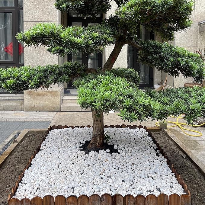 FANTIAN 40 lbs White River Rocks for Garden, 2-3 Inch Large Aquarium Gravel. Decorative Stones for Plants, Vases, Cactus, Landscaping and Home Decor