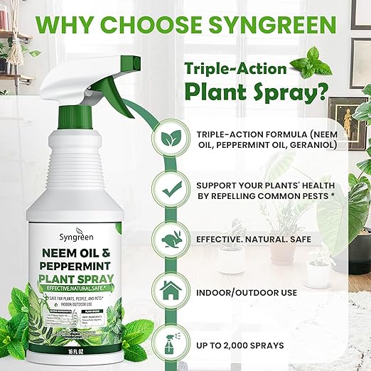 Syngreen Neem Oil Spray for Plants with Peppermint – Gentle Leaf Maintenance for Indoor and Outdoor Greenery, 16oz