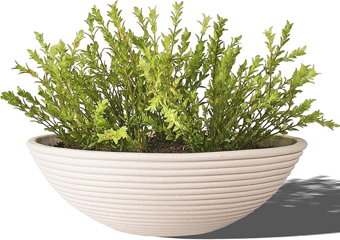 TerraDeco 18 - inch Handmade Classic Bowl - Concrete Planter (2 Packs) | Concrete Composite | Ideal for Succulents, Courtyard Pillars & Staircase Corners