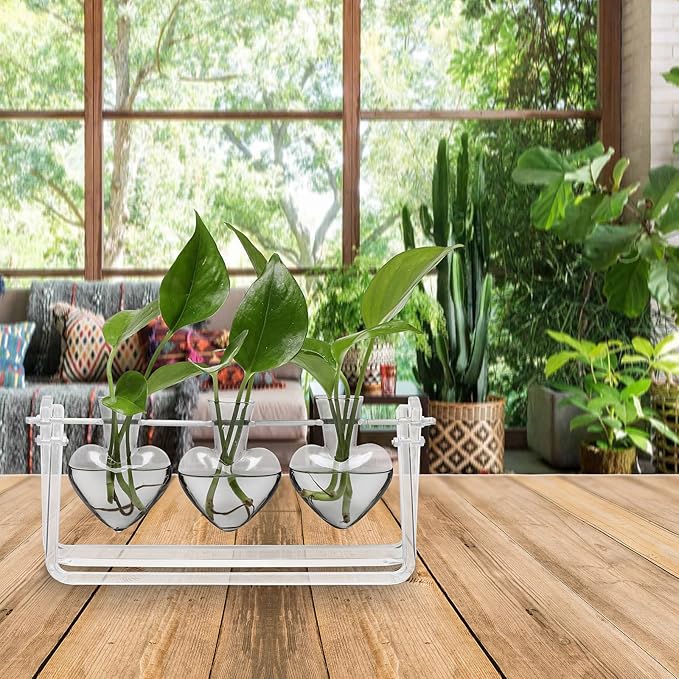 CYZglass Clear Plant Terrarium Propagation Stations with Acrylic Stand Birthday Gifts for Women Office Home Decor