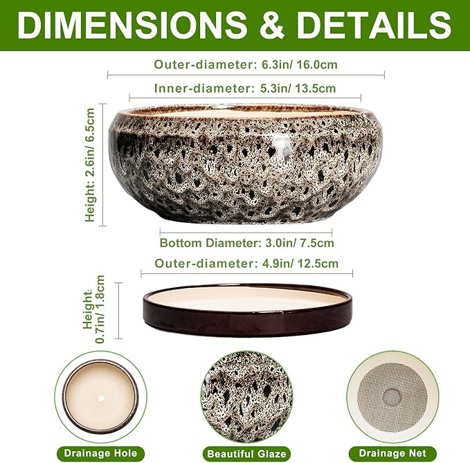 EPFamily Succulent Planter 6 Inch - Ceramic Bonsai Pots with Drainage Hole and Tray, Shallow Plant Pot Indoor Outdoor, Cactus Succulent Pot, Round Bonsai Planter, Home Decor, Plant Lover Gift, White