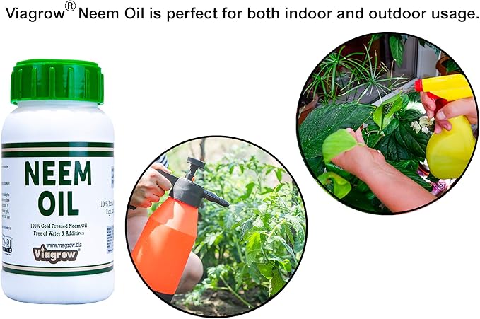 Viagrow 100% Cold Pressed Neem Seed Oil for Plants (16oz/Makes 24 Gallons), OMRI Listed (8oz Bottles, 2-Pack)