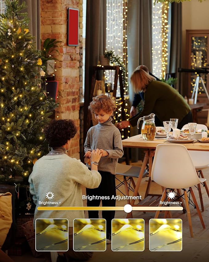 Homemory 4 Pack 20 Ft 60 LED Fairy Lights Battery Operated Christmas Lights with Remote Waterproof 8 Modes Firefly Twinkle String Lights for Party Bedroom Wedding Christmas Decorations