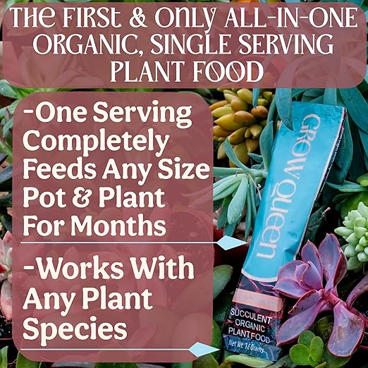 Grow Queen All-In-One Organic Succulent Fertilizer, Cactus Fertilizer, Succulent Plant Food, Bonsai & Cactus Food, 1lb bag = 25 Single Servings, Fast & Slow Release feeds up to 100 plants for 8 months