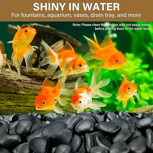 12lb Black River Rocks for Plants Indoor, 2-3Inch Pebbles for Vases Fillers, Decorative Gravel for Fish Tank, Natural Polished Stones for Succulent, Bonsai, Landscaping, Bird Baths