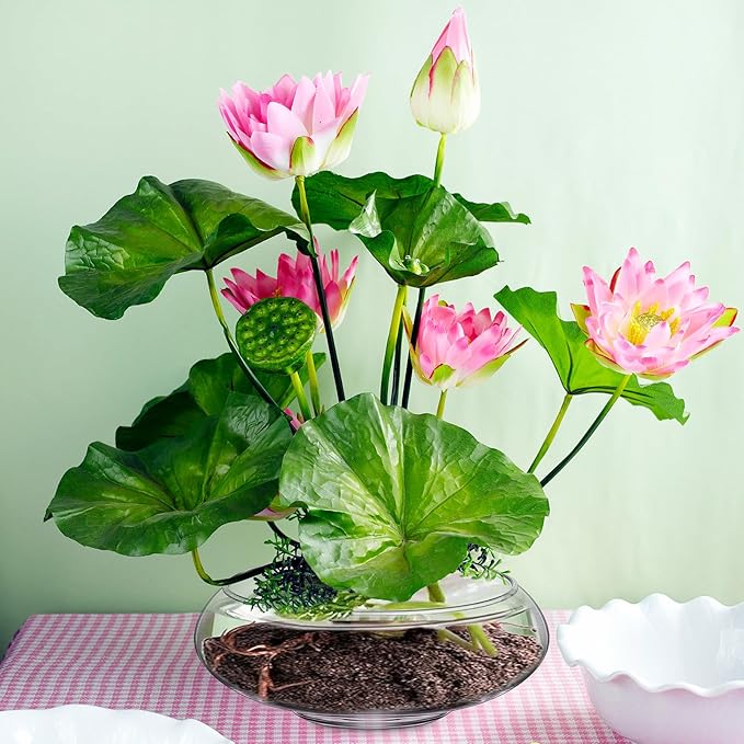 Baderke 6 Pcs Hydroponic Planter Lotus Flower Pot Planter Lotus Bowl Clear Glass Fish Bowl Vase for Planting Indoor Home Decor Water Lily Narcissus Planting Water Lily (7.09in)