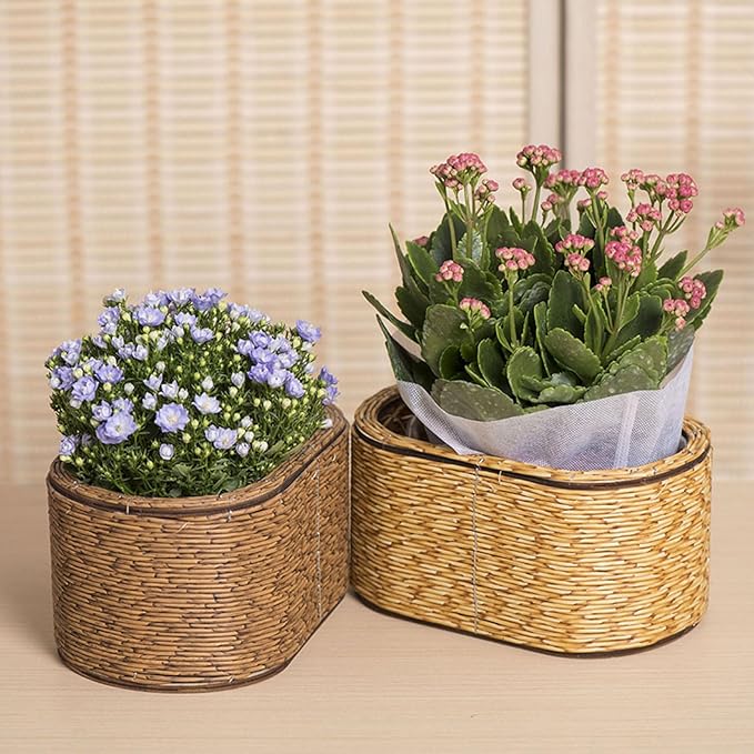 Rattan Flower Basket, Wicker Woven Planter with Plastics Liner, Hand Woven Basket Planter, Desktop Flower Pot for Bathrooms Kitchens Home Office