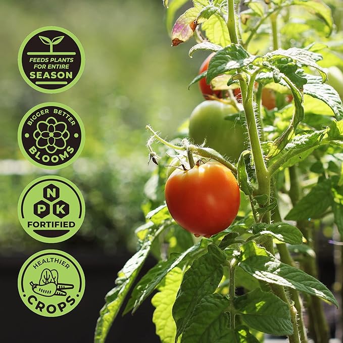 Minute Soil Plus Grow Cube - Amended Coco Coir Potting Soil - 1 Gallon Plastic Grow Bag - 3 Cubes - Self Contained Expanding Coconut Coir Grow Planter - Feeds Plants for an Entire Season
