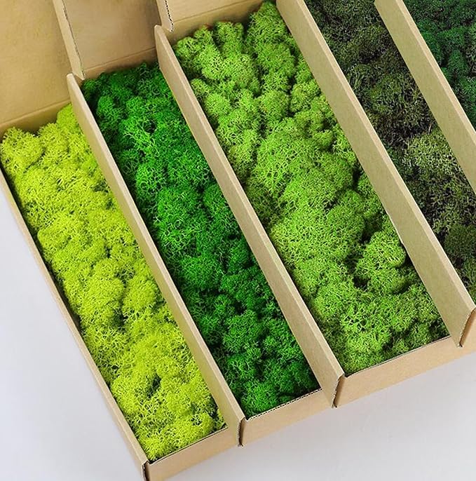 prefleur Preserved Reindeer Moss Natural Green DIY Kit Gardenning Art Wall Decor Florist Decor Easter Table Decor Wedding