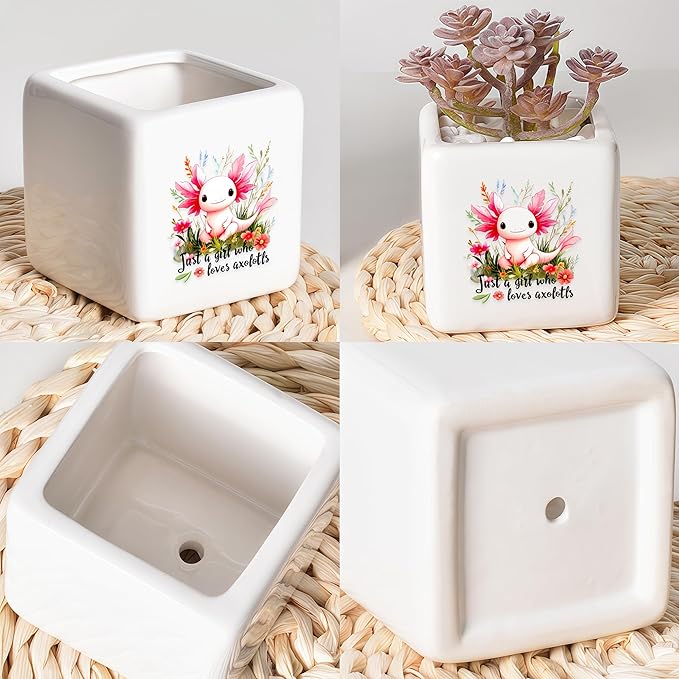 BJDAMAI Axolotl Succulent Planter Flower Plant Pot Small, Gifts for Women Teens Girls Kids, Axolotl Lovers Themed Stuff Accessories Things Decor Merch, Home Office Table Desk Decoration!