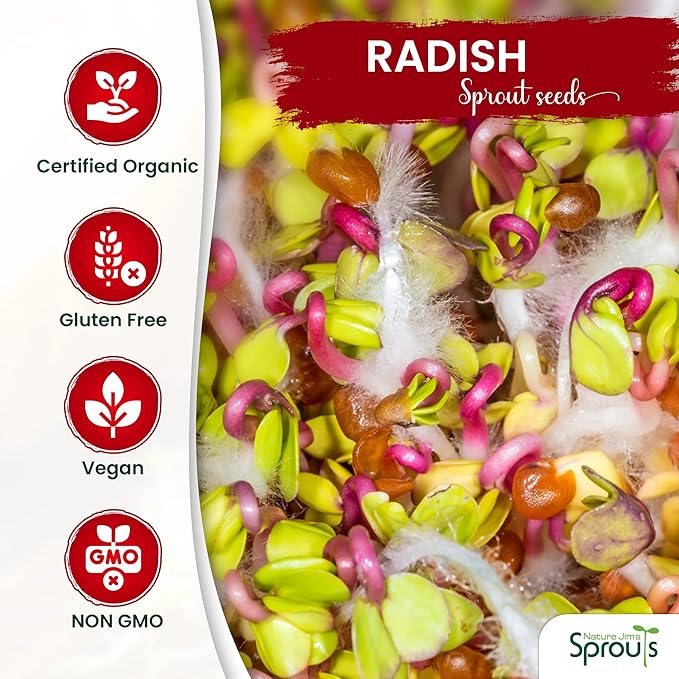 Nature Jims Organic Radish Sprout Seeds – 16 Ounce Premium Non-GMO Radish Seeds for Sprouting, Rich in Vitamins, Minerals, Fiber & Protein – Microgreen & Sprout Seeds for Home Growing