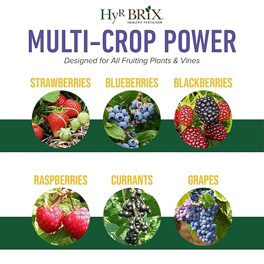 HyR BRIX Slow-Release 6-8-9 Fruit & Berry Fertilizer, 5lb Bucket - Plant Food with Calcium & Sulfur - Essential Micronutrients for Better-Tasting Fruit & Higher Yields