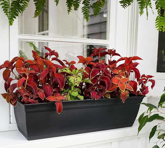 The HC Companies 30 Inch Eclipse Window Planter Box with Drainage Holes & Attached Saucer, Lightweight UV-Resistant Plastic Indoor & Outdoor Planters, 2-Pack Flower Box for Garden & Home Decor, Black
