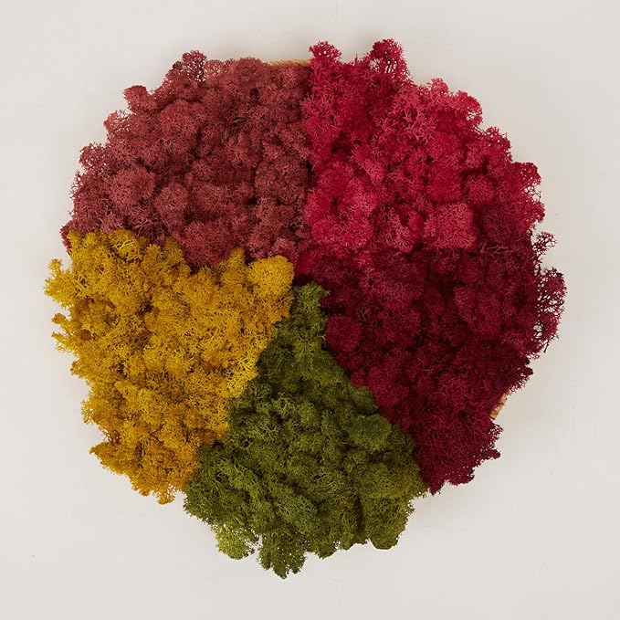 prefleur Preserved Reindeer Moss Natural Green DIY Kit Gardenning Art Wall Decor Florist Decor Easter Table Decor Wedding