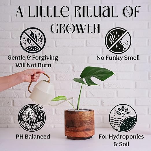 Grow Queen Organic Liquid Indoor Plant Food, Houseplant, Tropical & All-Purpose Indoor Plant Fertilizer, Organic Liquid Fertilizer 5-5-5 with Sea Kelp, 12oz Treats 75 Gallons