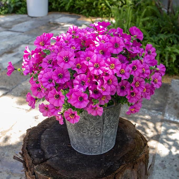 VDVST Artificial Flowers for Outdoors,UV Resistant Artificial Outdoor Flowers,Not-Fading Faux Flowers for Outdoor Planters for Front Door Porch Yard Patio Garden Home Decor,12 Bundles,Fuchsia